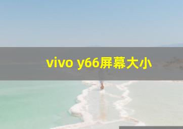 vivo y66屏幕大小